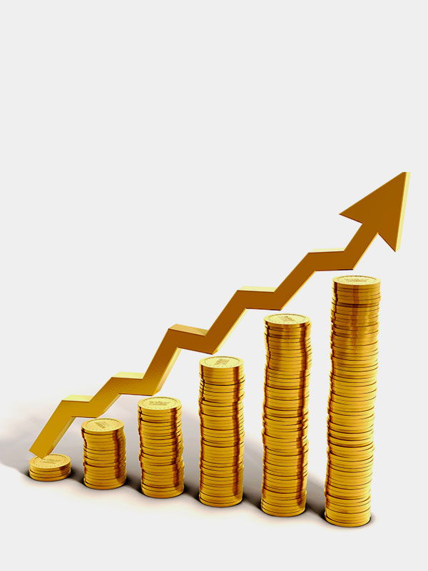 Minimum Capital requirement