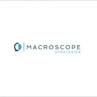 MACROSCOPE STRATEGIES